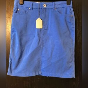 Dolcezza blue spring skirt.